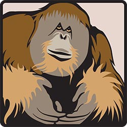 NZP wayfinding symbol: Orang-utan for Smithsonian Institution